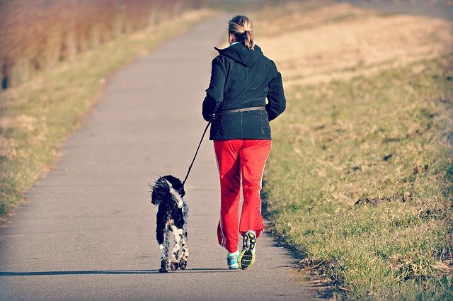 Žena na procházce se psem